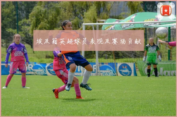 埃及籍英超球员表现及赛场贡献