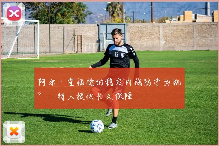 阿尔·霍福德的稳定内线防守为凯尔特人提供长久保障