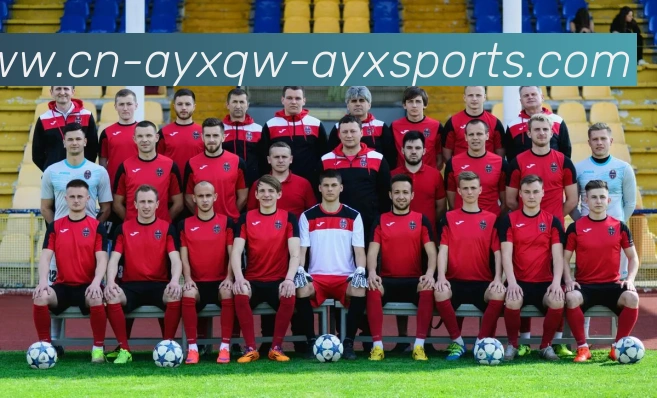 爱游戏平台生态图