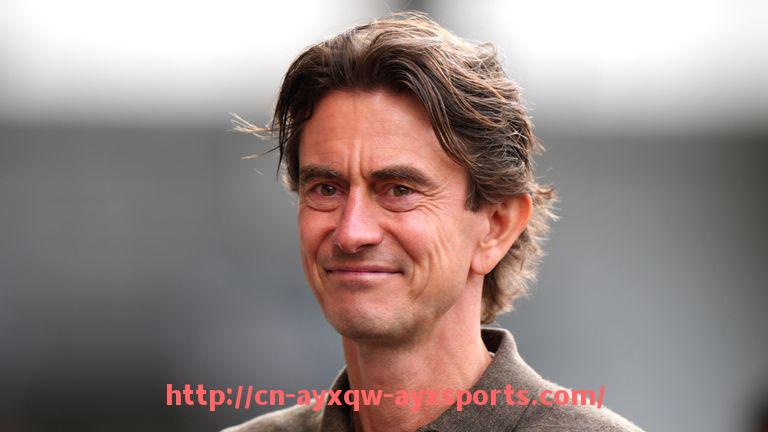 爱游戏体育-德甲近年来衰落球队排名最新分析