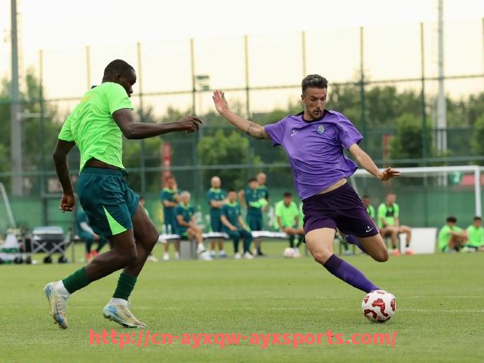 爱游戏体育-法甲进攻分布及场上空间利用研究